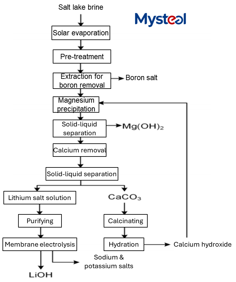 A comprehensive review of China's lithium hydroxide market 