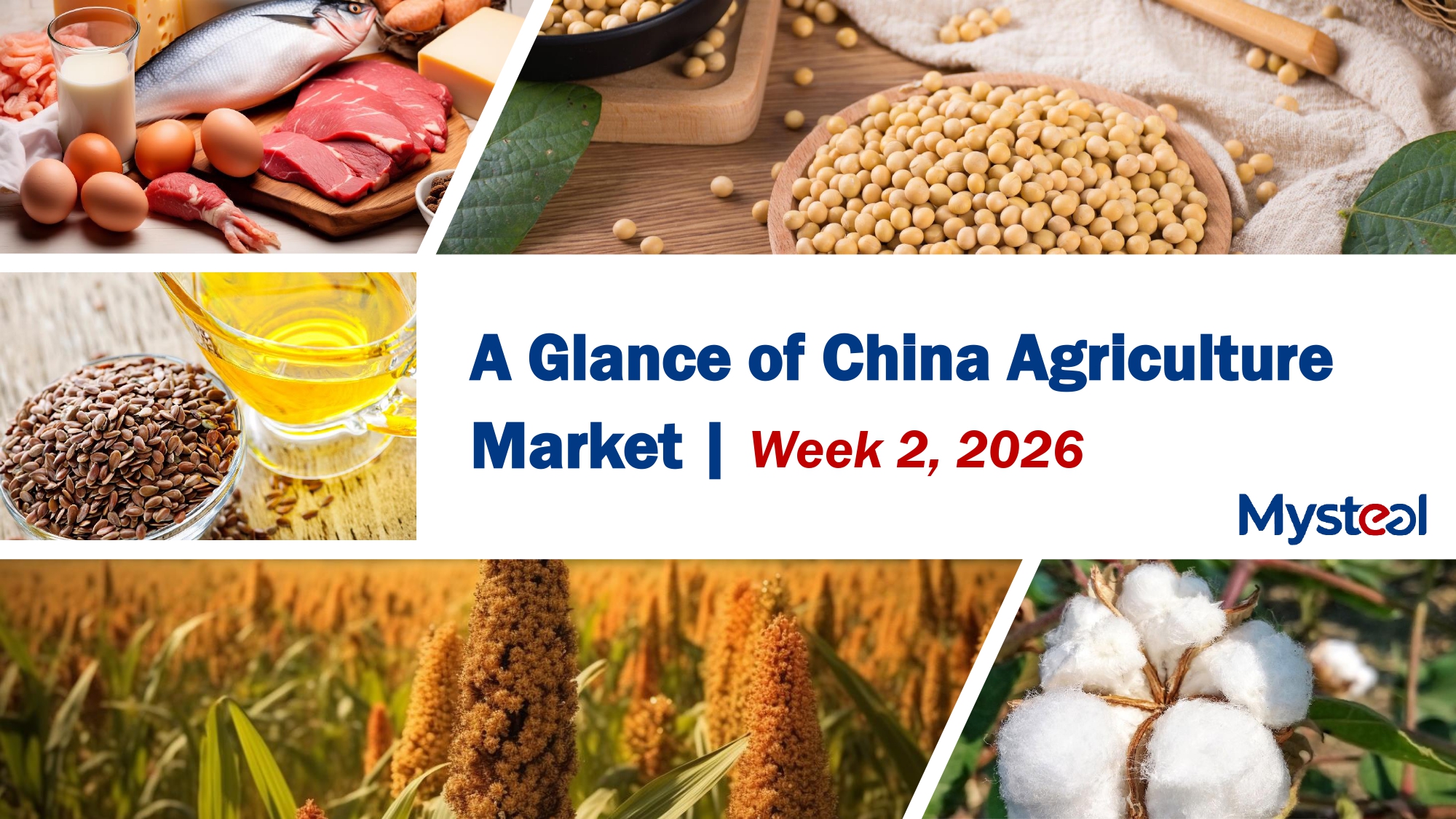 A Glance of China Agriculture Market 20260511