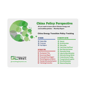 China Policy Perspective